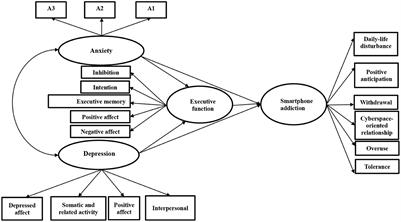 The relationship between anxiety and depression with smartphone addiction among college students: The mediating effect of executive dysfunction